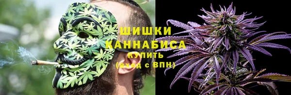 бошки Горняк